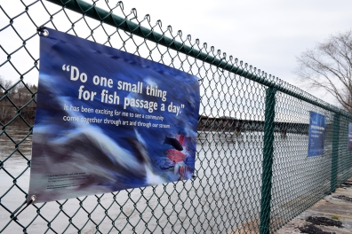 "Do one small thing for fish passage a day" quote on banner.